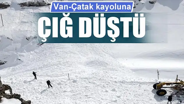 Van-Çatak kayoluna çığ düştü