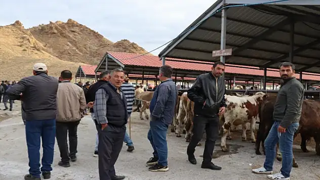 Oltu canlı hayvan pazarı şap hastalığı sonrası eski canlılığına kavuştu