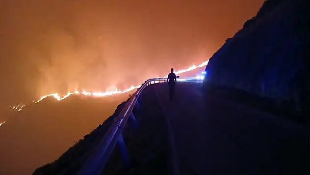 Orman yangınında 7 kişi hayatını kaybetti