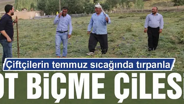 Çiftçilerin temmuz sıcağında tırpanla ot biçme çilesi