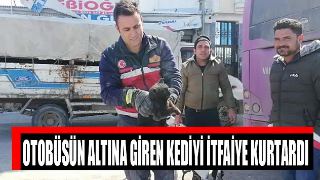 Otobüsün altına giren kediyi itfaiye kurtardı
