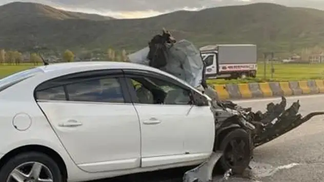 Otomobil hayvana çarptı: 1 yaralı