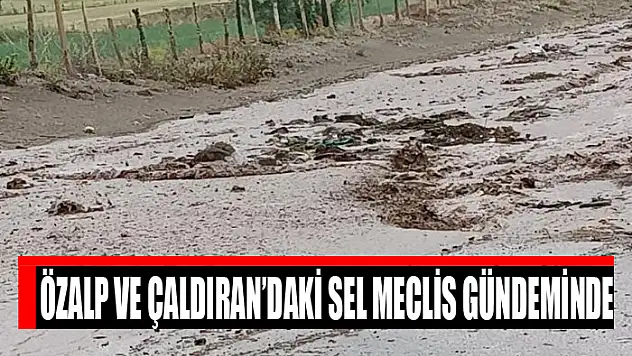 Özalp ve Çaldıran'daki sel Meclis gündeminde