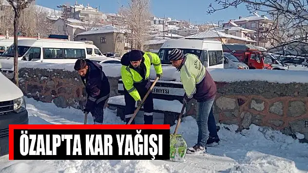 Özalp'ta kar yağışı