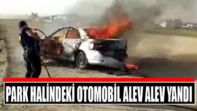 Park halindeki otomobil alev alev yandı