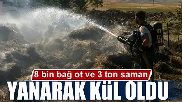 8 bin bağ ot ve 3 ton saman yandı