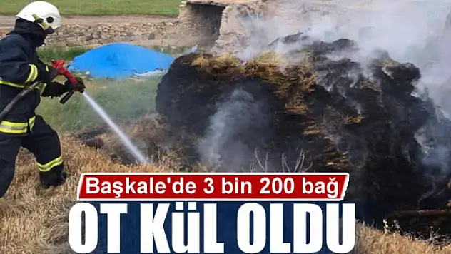 Başkale'de 3 bin 200 bağ ot kül oldu