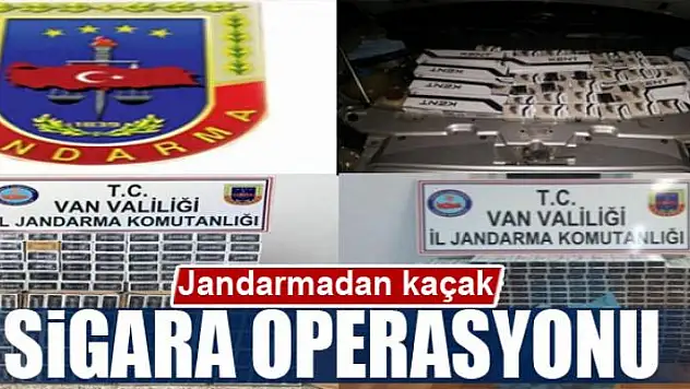 Jandarmadan kaçak sigara operasyonu 