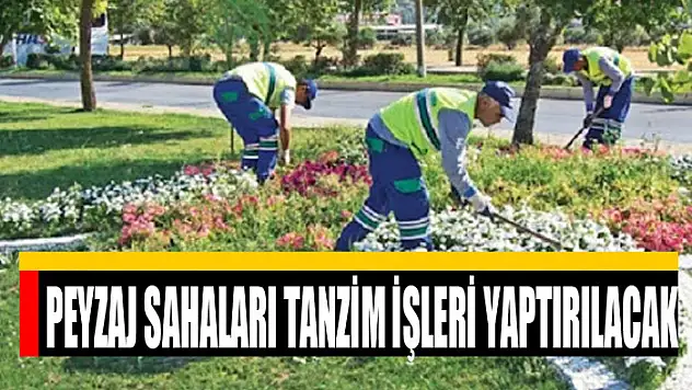 Peyzaj sahaları tanzim işleri yaptırılacak