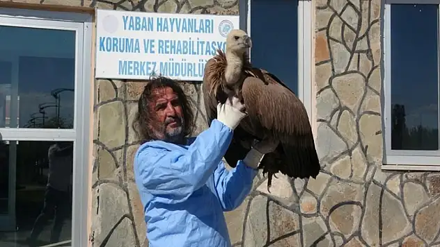 Prof. Dr. Lokman Aslan'dan kritik uyarı