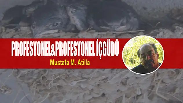 PROFESYONEL&PROFESYONEL İÇGÜDÜ