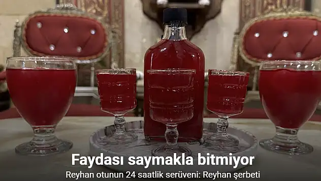 Reyhan otunun faydaları saymakla bitmiyor