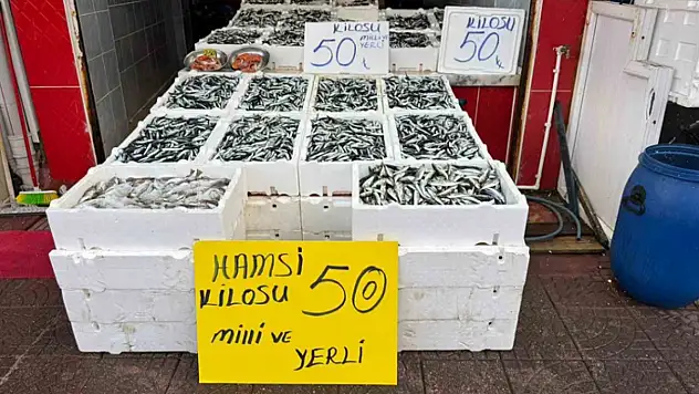 Rize'de hamsinin fiyatı sevenlerinin yüzünü güldürüyor