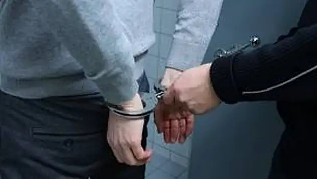 Rojin Kabaiş'e hakaret eden şüpheli gözaltına alındı