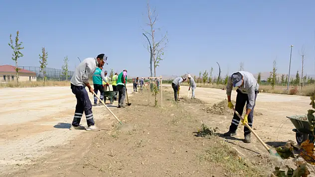 Sahil Parkı'nda çalışmalar sürüyor