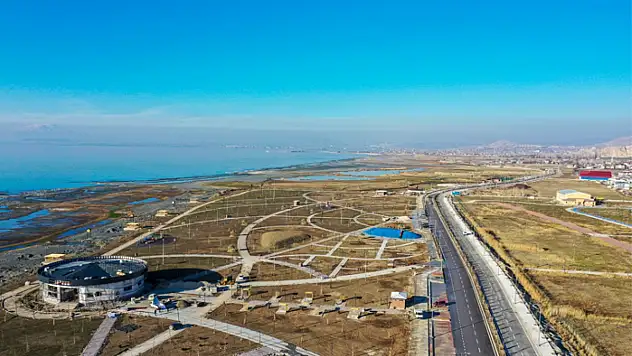 Sahil yolundaki kaplumbağalar için harekete geçildi 