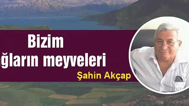 Bizim dağların meyveleri 