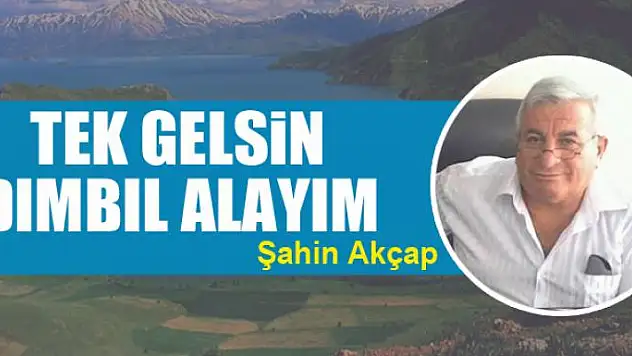 Tek gelsin  dımbıl alayım  