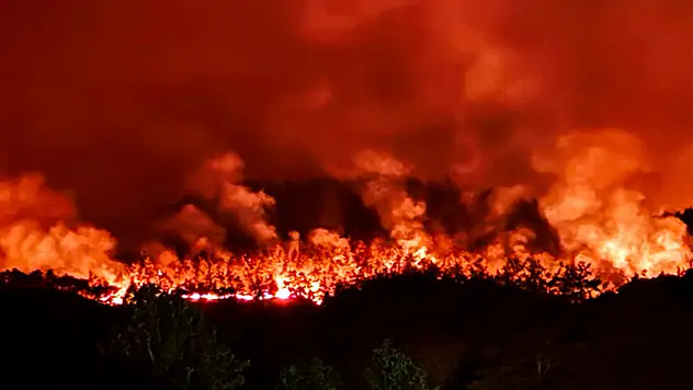 Sakarya'daki orman yangını havadan görüntülendi