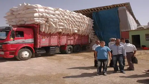 SAMAN FİYATLARI TAVAN YAPTI