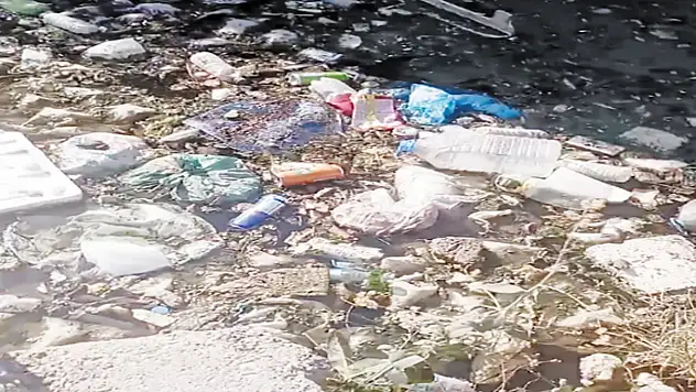 Şamran Kanalı'nda biriken çöpler sağlığı tehdit ediyor