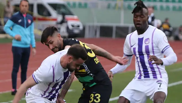 Şanlıurfa'da Ankara Keçiörengücü güldü