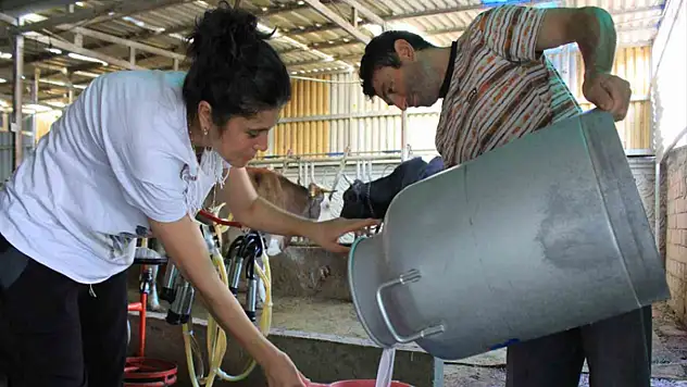 Şapın vurduğu üreticiler süt fiyatında güncelleme istiyor