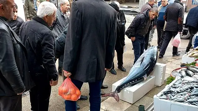 Saroz körfezinde yakalandı