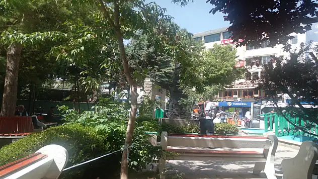 Şehir Parkı'nda çim biçme çalışması