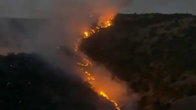 Şemdinli'de ormanlık alanda korkutan yangın