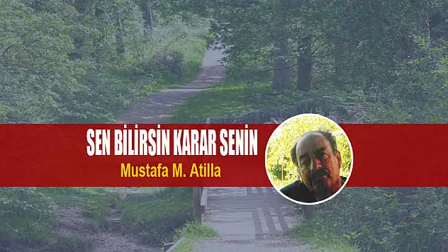 SEN BİLİRSİN KARAR SENİN