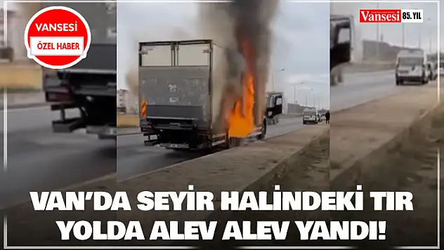 Seyir halindeki tır yolda alev alev yandı