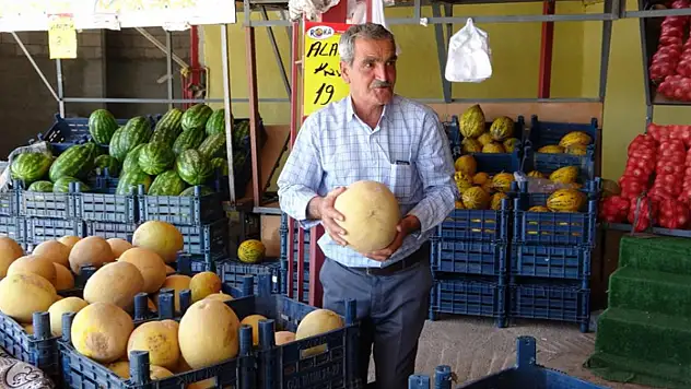 Sıhke kavununun hasadına başlandı