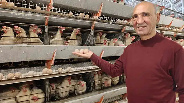 Simav'ın Kuşu beldesinde günlük 15 bin yumurta üretimi