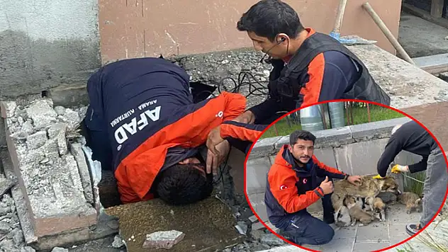 Soba bacasına düşen yavru köpekler kurtarıldı