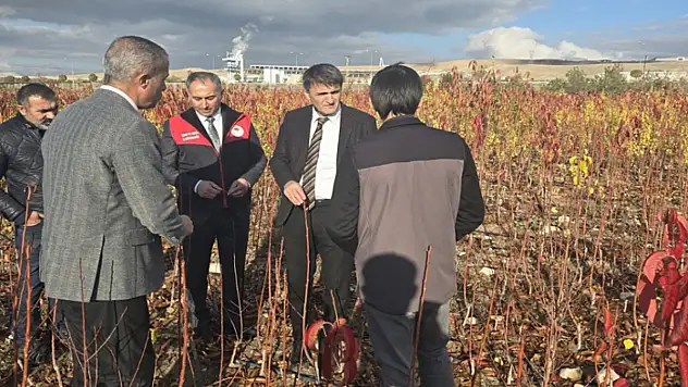 Soğuk hava deposunun yapımı devam ediyor