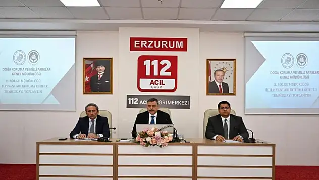 Sokak hayvanları mercek altında