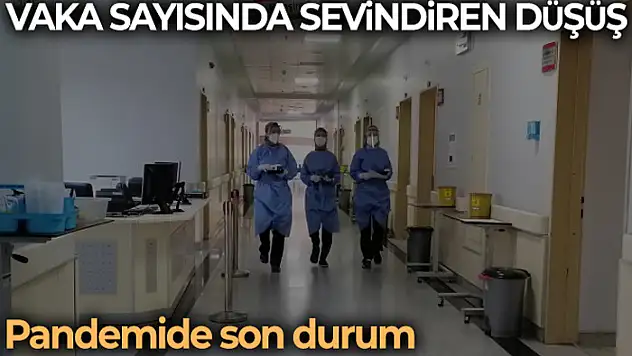 Son 24 saatte korona virüsten 206 kişi hayatını kaybetti