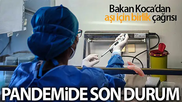 Son 24 saatte korona virüsten 226 kişi hayatını kaybetti