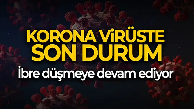 Son 24 saatte korona virüsten 25 kişi hayatını kaybetti