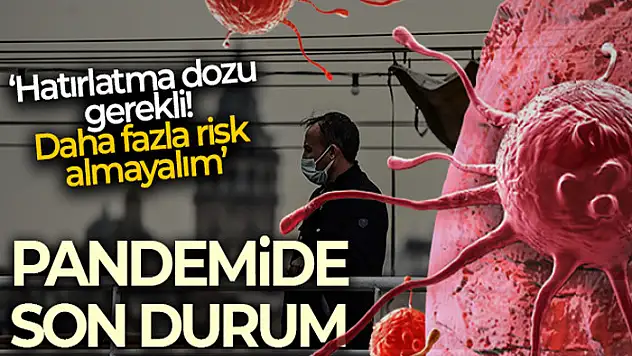 Son 24 saatte korona virüsten 264 kişi hayatını kaybetti