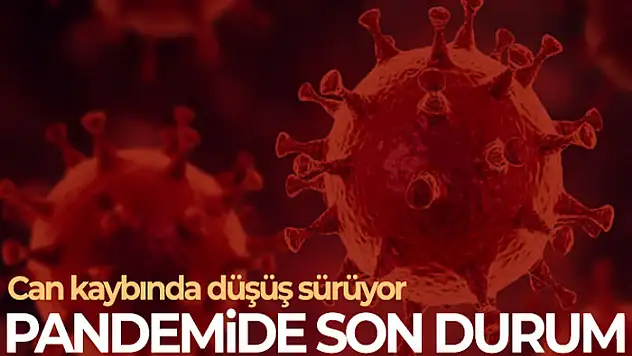 Son 24 saatte korona virüsten 36 kişi hayatını kaybetti