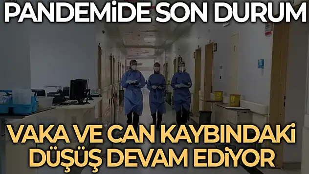 Son 24 saatte korona virüsten 77 kişi hayatını kaybetti