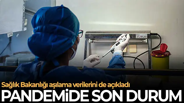 Son 24 saatte korona virüsten 84 kişi hayatını kaybetti