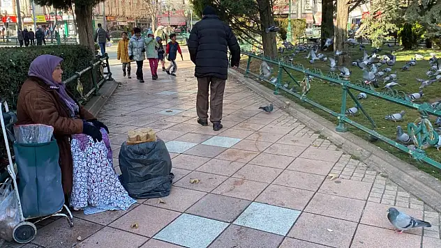 Tam 5 hastalıkla ve 74 yaşında, 9 saat kuş yemi satıp cezaevindeki yakınlarını geçindiriyor