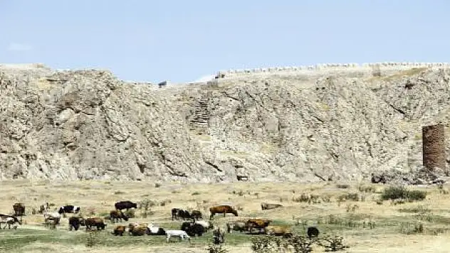 TARİHİ VAN ŞEHRİ OTLAK YERİ OLDU