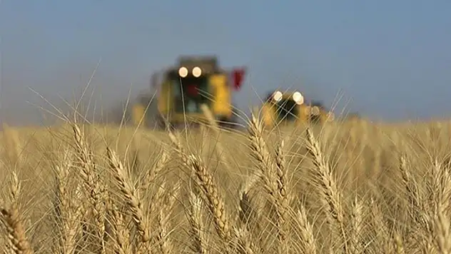 Tarım-GFE yıllık yüzde 33,66 arttı