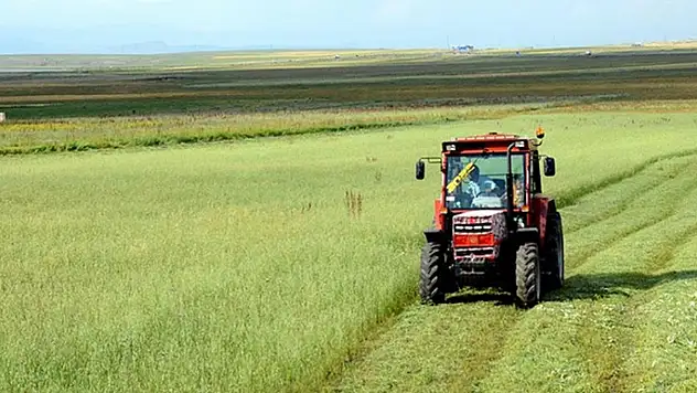 Tarım-GFE yıllık yüzde 34,24 arttı