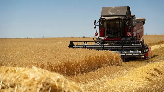 Tarım-ÜFE yıllık yüzde 28,96 arttı