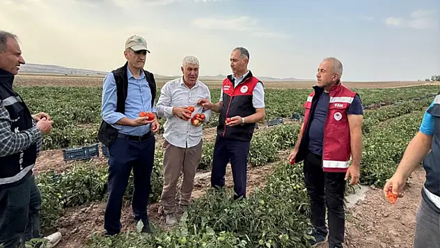 Tarım ve Orman İl Müdürü Dr. Şişman, Tuşba'da üreticileri ziyaret etti